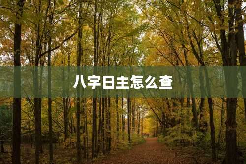 八字日主怎么查