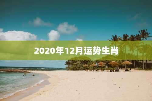 2020年12月运势生肖