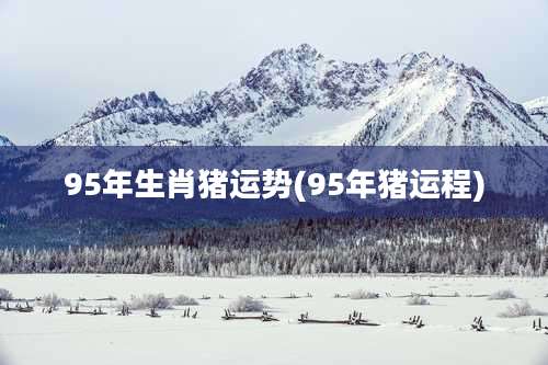 95年生肖猪运势(95年猪运程)