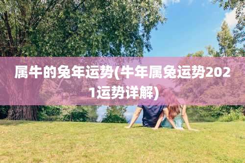 属牛的兔年运势(牛年属兔运势2021运势详解)