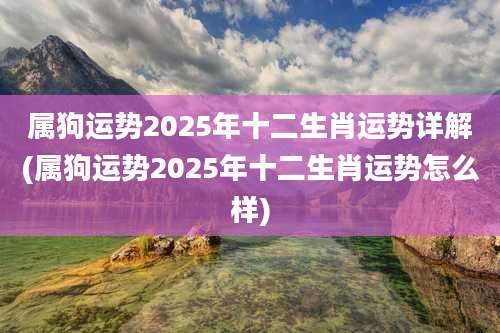 属狗运势2025年十二生肖运势详解(属狗运势2025年十二生肖运势怎么样)