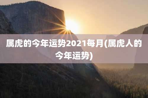 属虎的今年运势2021每月(属虎人的今年运势)