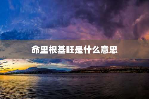 命里根基旺是什么意思