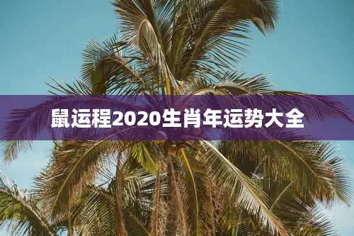 鼠运程2020生肖年运势大全