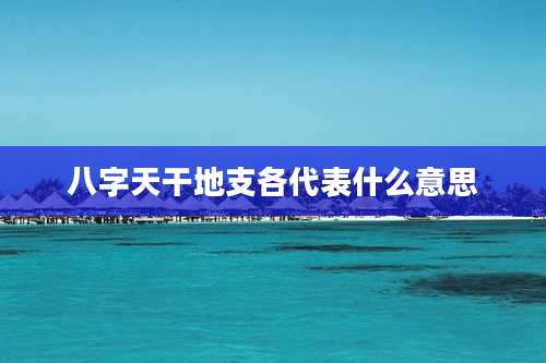 八字天干地支各代表什么意思