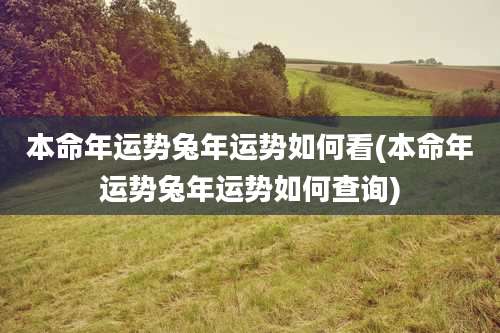 本命年运势兔年运势如何看(本命年运势兔年运势如何查询)