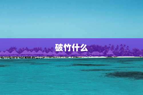破竹什么
