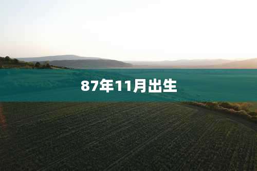 87年11月出生