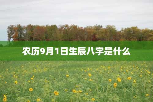 农历9月1日生辰八字是什么