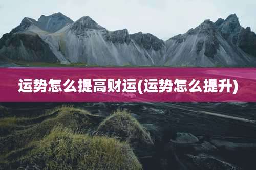 运势怎么提高财运(运势怎么提升)