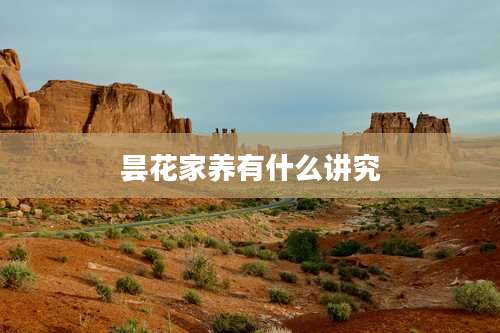 昙花家养有什么讲究