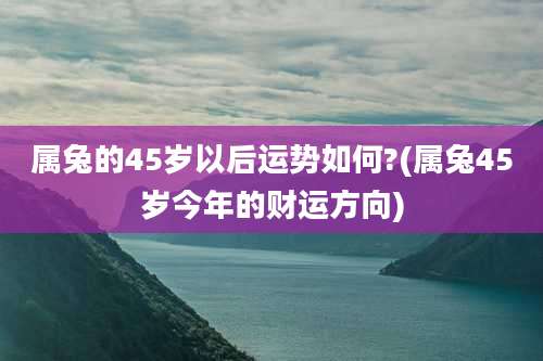 属兔的45岁以后运势如何?(属兔45岁今年的财运方向)