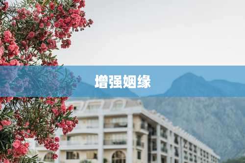 增强姻缘