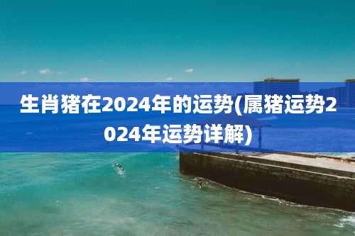 生肖猪在2024年的运势(属猪运势2024年运势详解)