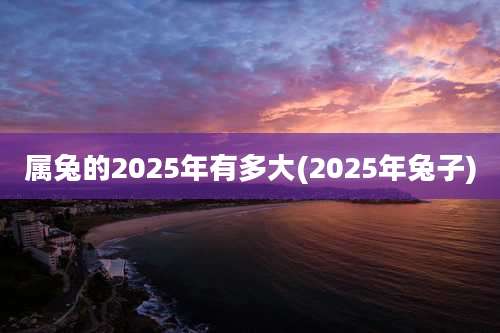 属兔的2025年有多大(2025年兔子)