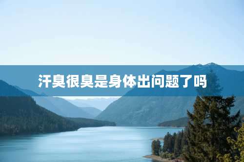 汗臭很臭是身体出问题了吗