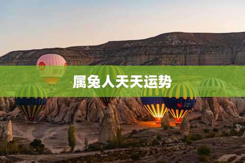 属兔人天天运势