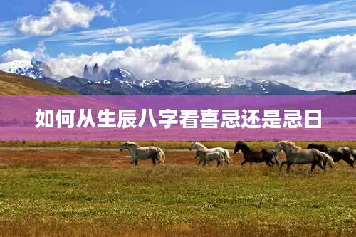 如何从生辰八字看喜忌还是忌日