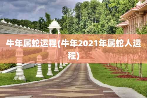 牛年属蛇运程(牛年2021年属蛇人运程)