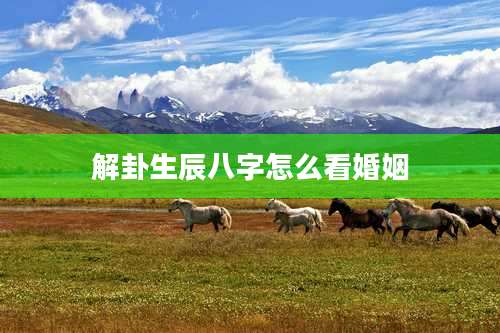 解卦生辰八字怎么看婚姻