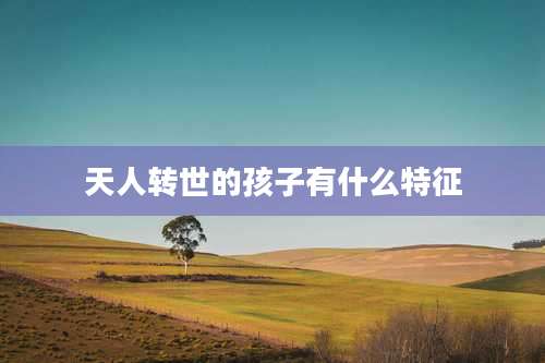 天人转世的孩子有什么特征