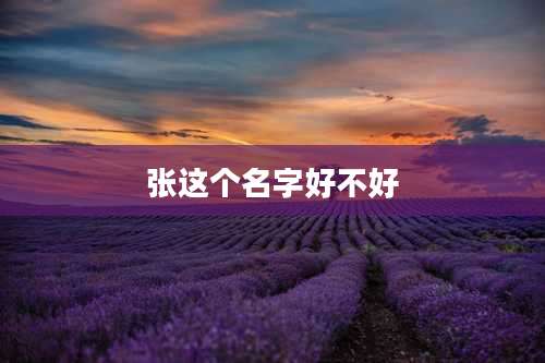 张这个名字好不好