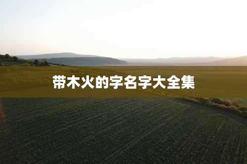 带木火的字名字大全集