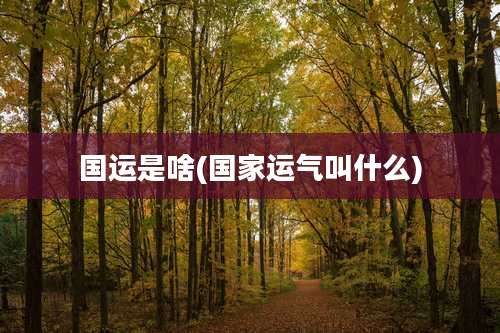 国运是啥(国家运气叫什么)