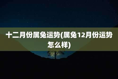 十二月份属兔运势(属兔12月份运势怎么样)
