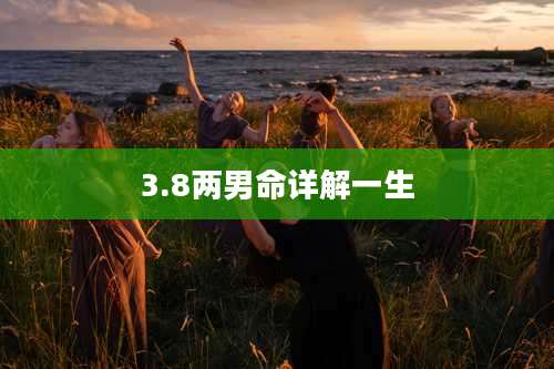 3.8两男命详解一生