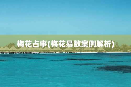 梅花占事(梅花易数案例解析)