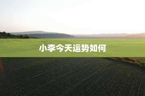 小李今天运势如何