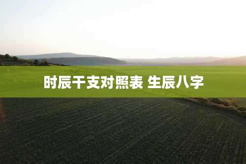 时辰干支对照表 生辰八字