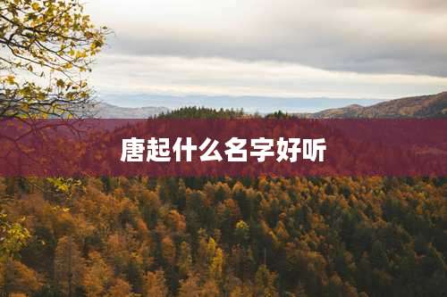 唐起什么名字好听