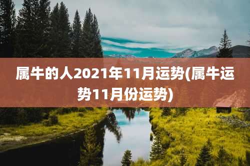 属牛的人2021年11月运势(属牛运势11月份运势)