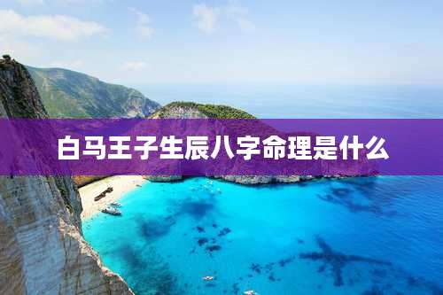 白马王子生辰八字命理是什么