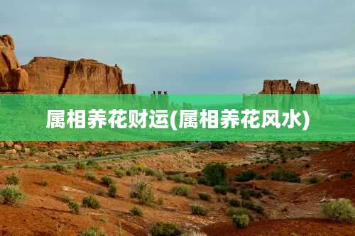 属相养花财运(属相养花风水)