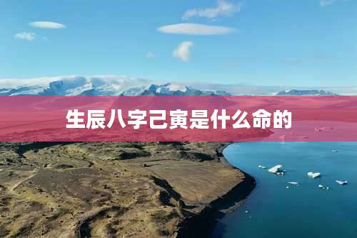 生辰八字己寅是什么命的