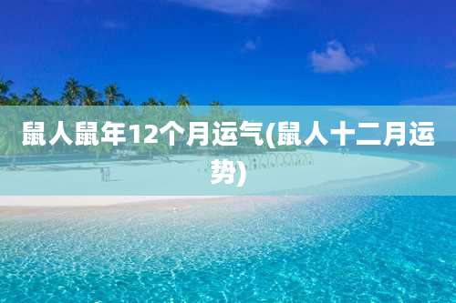 鼠人鼠年12个月运气(鼠人十二月运势)