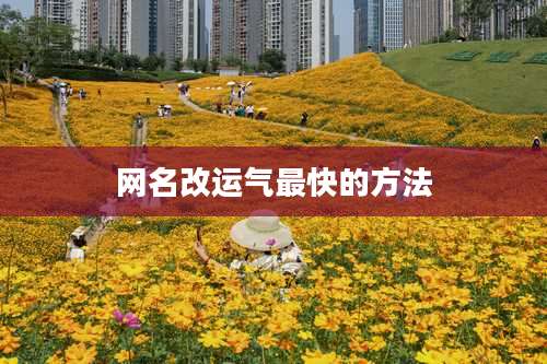 网名改运气最快的方法