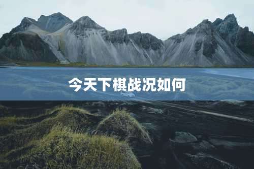 今天下棋战况如何