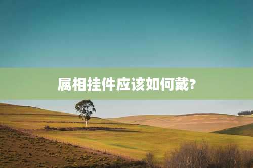 属相挂件应该如何戴?