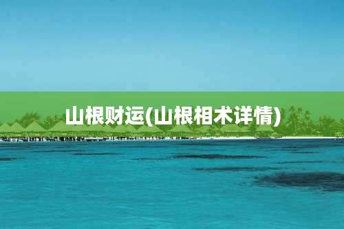 山根财运(山根相术详情)