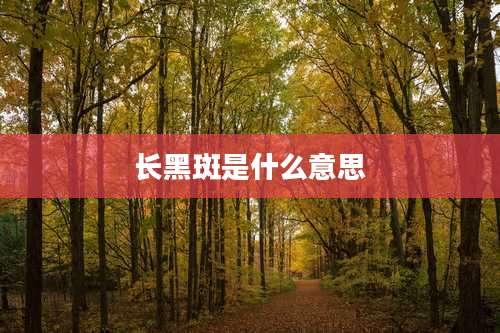 长黑斑是什么意思
