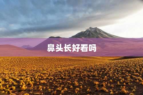鼻头长好看吗