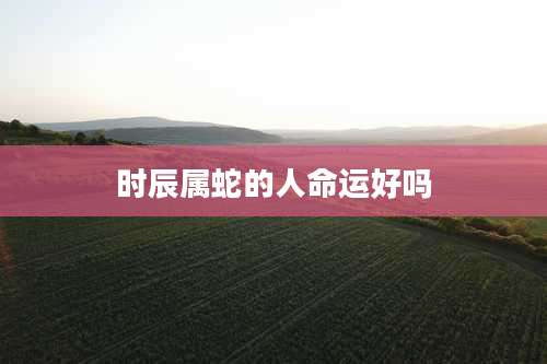 时辰属蛇的人命运好吗