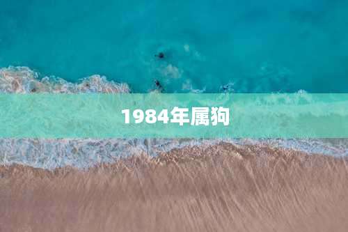 1984年属狗
