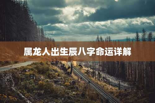 属龙人出生辰八字命运详解