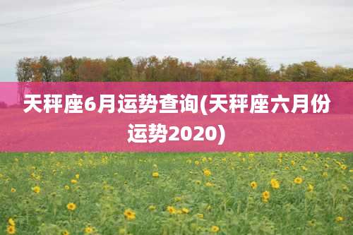 天秤座6月运势查询(天秤座六月份运势2020)