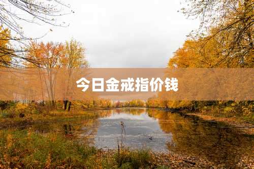今日金戒指价钱